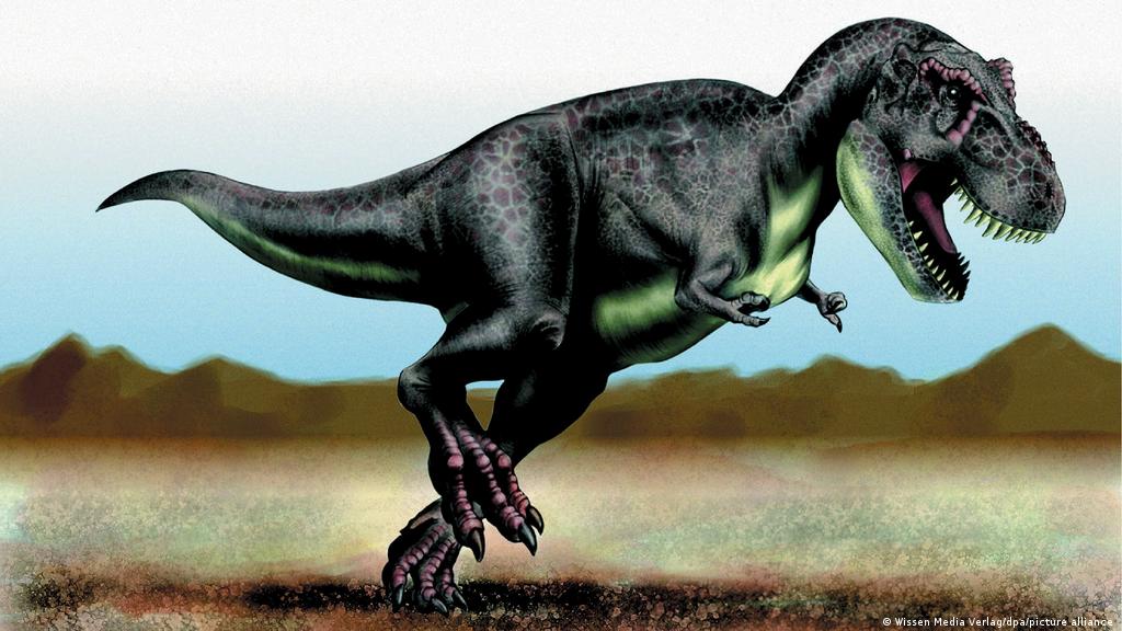 ¿Por qué el Tiranosaurio Rex tenía las manos tan pequeñas?