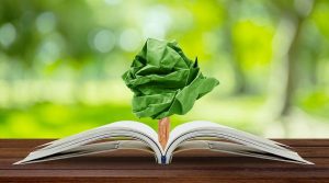 Educación ambiental: por qué sigue siendo importante